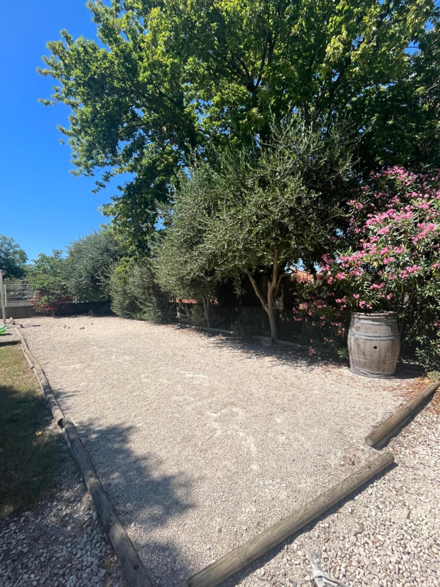 Studio Menthe-Clim-Terrain De Petanque-Piscine Collective Saint-Paul-Trois-Châteaux Exteriör bild